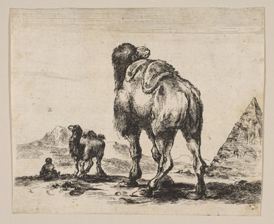 Tafel 18: Kamel von hinten gesehen mit Pyramide rechts, aus Verschiedene Tiere, nach 1641 von Unbekannt