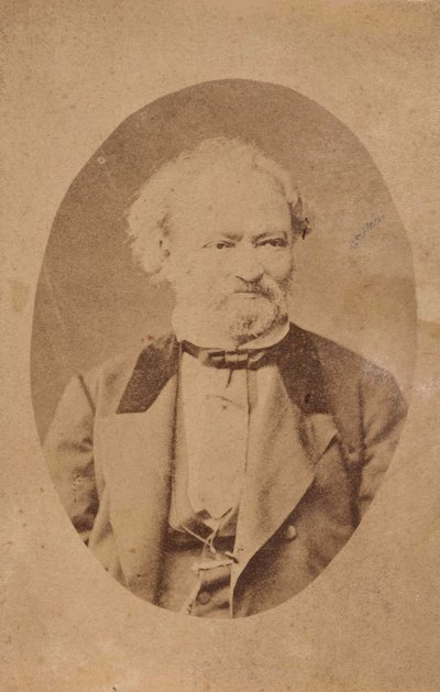 Porträt des Pianisten und Komponisten Ferenc Erkel 1810-1893, ca. 1875 von Unbekannt