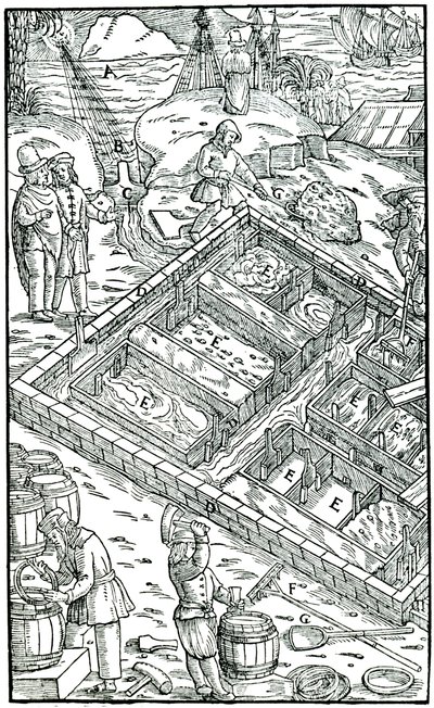 Salzgewinnung durch Verdunstung von Meerwasser in Salinen, 1556 von Unbekannt