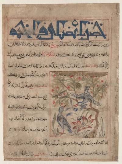 Eigenschaften von Ringeltauben recto, Über die Vorteile von Wachteln verso, ca. 1300 von Unbekannt