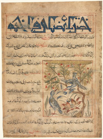 Eigenschaften von Ringtauben recto aus einem Manafi al-Hayawan Über die Nützlichkeit von Tieren, ca. 1300 von Unbekannt