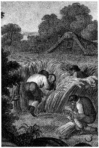Ernten mit Sicheln und Binden der Garben, England, ca. 1800 von Unbekannt