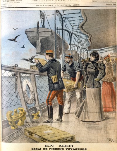 Freilassung französischer Armeebrieftauben an Bord des transatlantischen Liners La Bretagne, 1898 von Unbekannt