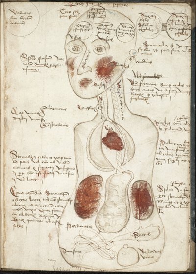 Darstellung einer aristotelischen Theorie des Bewusstseins aus: De corpore et anima von Unbekannt