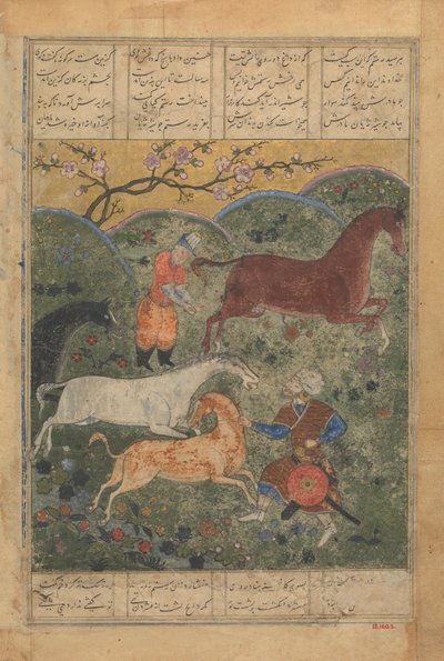 Rustam fängt das Pferd Rakhsh, Folio aus einem Shahnama Buch der Könige von Unbekannt