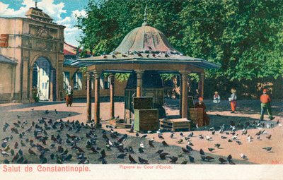 Salut von Konstantinopel - Tauben im Hof von Eyoub, ca. 1900 von Unbekannt