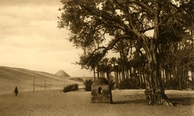 Saqqara - Die Stufenpyramide vom Sykomore aus gesehen, ca. 1918-1939 von Unbekannt