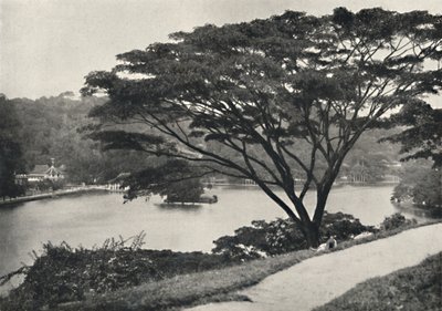 See, Tempel des Heiligen Zahnes und Bibliothek in Kandy, vom Viktoria-Drive nach Osten gesehen, 192 von Unbekannt