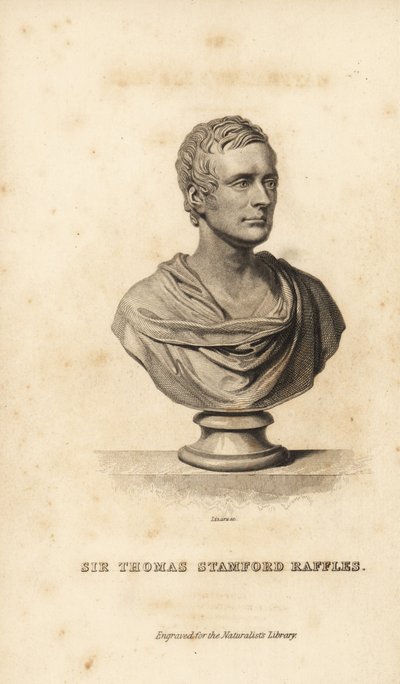 Sir Thomas Stamford Raffles, britischer Staatsmann, Schriftsteller und Naturforscher von Unbekannt