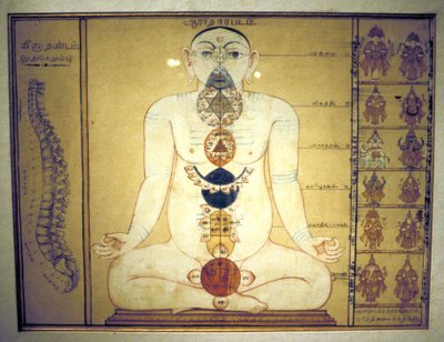 Sechs Chakras, die die Plexusse des menschlichen Körpers darstellen, Tanjore, Tamil Nadu, ca. 1850 von Unbekannt