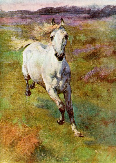 Studie aus dem Leben für Colt Hunting im New Forest, 1899 von Unbekannt