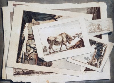 Studie von Zeichnungen und Drucken von Unbekannt
