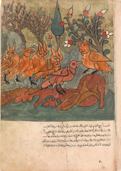 Die Krähe Spion spricht mit dem König der Eulen und seinen Ministern, Folio aus einem Kalila..., 18. Jahrhundert von Unbekannt