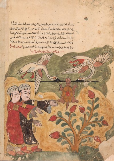 Die Flucht der Schildkröte, Folio aus einem Kalila wa Dimna, 18. Jahrhundert von Unbekannt
