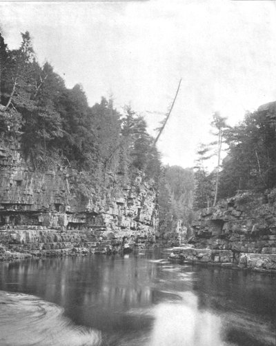 Oberes Ende der Ausable-Schlucht, Adirondacks, New York State, USA von Unbekannt