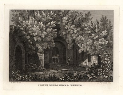 Ansicht der Quelle der Nymphe Egeria, Fonte della Ninfa Egeria, Parco Cafarella, Rom von Unbekannt