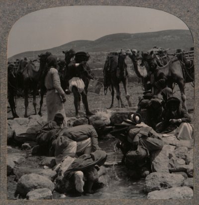 Kamele tränken am Jakobsbrunnen, ca. 1900 von Unbekannt