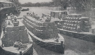 Wollkähne auf dem Murray River, 1923 von Unbekannt