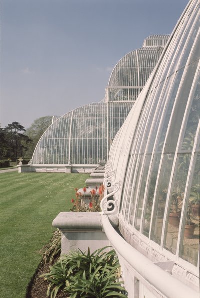 Abschnitt des Palmenhauses, entworfen von Decimus Burton, 1800-81 von Unbekannt Unbekannt