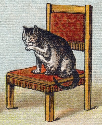 Eine Katze auf einem Stuhl. Gravur in "Alphabet de ma petite fille". Bernardin-Bechet und Fils, Buchhändler-Verleger, Paris, um 1895. von Unbekannt