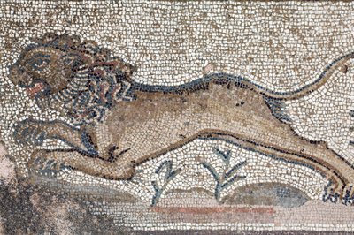 Ein Löwe - (Detail) eines Frieses, der Jagdszenen darstellt, neben dem Panel, das das erste Bad des Achilles zeigt - Paphos-Mosaiken, Villa des Theseus, 5. Jahrhundert n. Chr. - Zypern von William M. Timlin