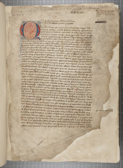 Abschrift der philosophischen Werke von Marcus Tullius Cicero, ca. 1480 von Unbekannt