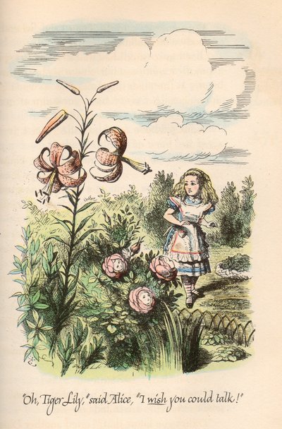 Alice im Wunderland & Durch den Spiegel, von Lewis Carroll, illustriert von John Tenniel von Unbekannt
