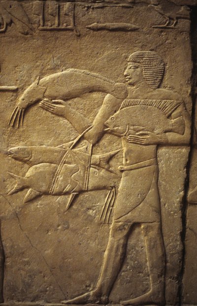 Altes Ägypten: Saqqara (oder Saqqarah oder Sakkara): Nekropole des Alten Reiches, Grab des Adligen. Detail der Reliefs, die einen Fischer darstellen von Leopold Blonder