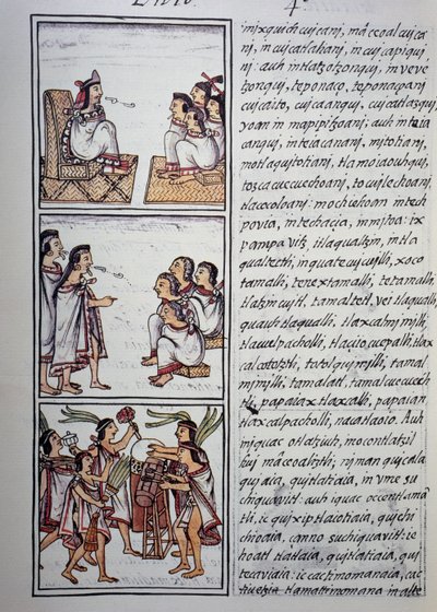 Aztekische Gesellschaft, Buch IV des Florentiner Kodex, zweisprachige Version in Spanisch und Nahuatl, Allgemeine Geschichte der Dinge von Neuspanien (Historia general de las cosas de Nueva España), Aztekische Zivilisation von Benjamin Baud