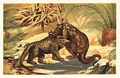Kampf zwischen einem Megalosaurus bucklandii und Iguanodon bernissar. 1908 (Lithografie) von Unbekannter Künstler
