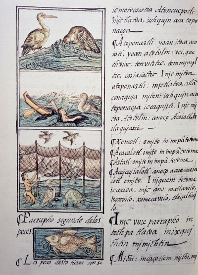 Vogeljagd am See von Benjamin Baud