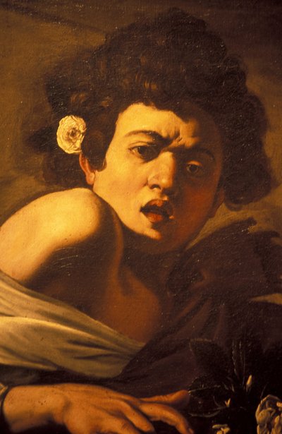 Junge von einer Eidechse gebissen (Detail) von Unbekannt