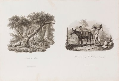 Chasse de l