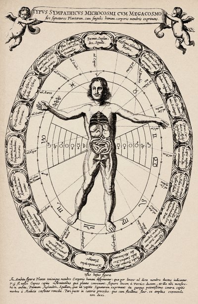 Korrespondenz zwischen Mikrokosmos und Makrokosmos. Platte aus „Mundus subterraneus“ von Athanase Kircher (1601-1680) von Unbekannter Künstler