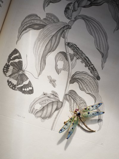 Deborah Devonshires Käfer- und Insektenschmuck auf 