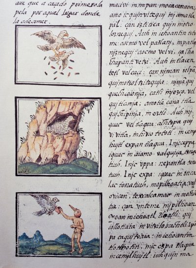Adler, Seite aus dem Florentiner Kodex, zweisprachige Version in Spanisch und Nahuatl, Allgemeine Geschichte der Dinge von Neuspanien, von dem spanischen Missionar Fray Bernardino de Sahagun (1499-1590). Aztekische Zivilisation von William M. Timlin