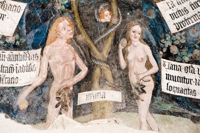 Gotisches Fresko; Adam und Eva sündigen; mit der Schlange; 8. Kreuzgang; Kathedrale; Brixen; Südtirol; Italien von Unbekannt
