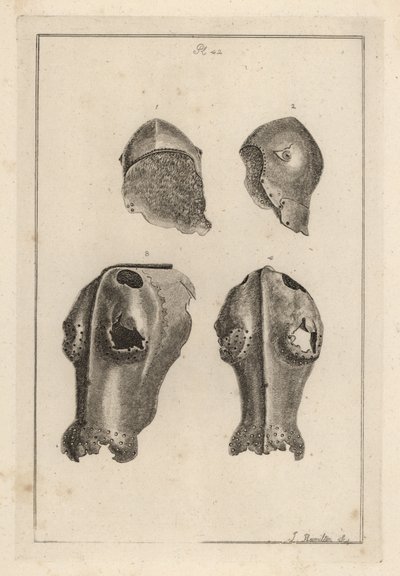 Helm 1,2 und eiserner Chanfron oder Chafron 3,4, die Guy, Earl of Warwick gehörten von Unbekannt