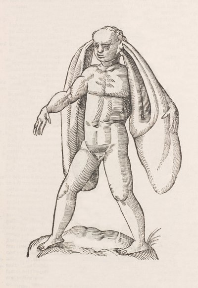 Homo fanesius auritus von Unbekannt