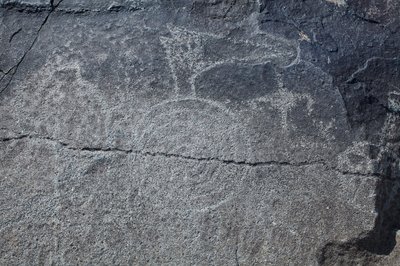 Indische Petroglyphen - Tier- und symbolische Darstellungen - Petroglyph National Monument - Albuquerque, New Mexico, USA von William M. Timlin