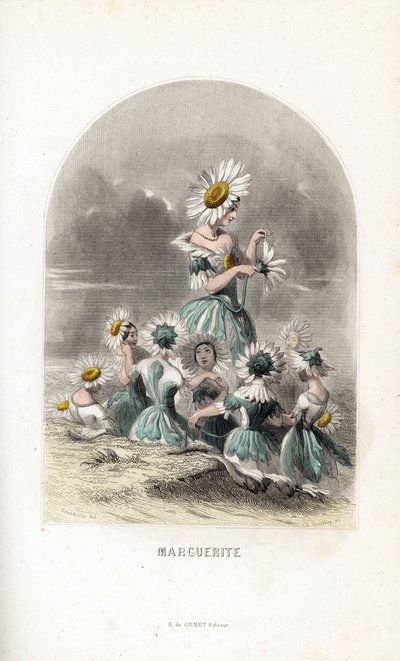 Die Feen der Gänseblümchen auf den Wiesen, gekrönt mit Blumenhüten, eine verlässt die Blütenblätter eines Gänseblümchens - Radierung von Charles Geoffroy nach einer Illustration von Jean Ignace Isidore Gerard dit J.J.Granville für Les fleurs animées von Unbekannter Künstler