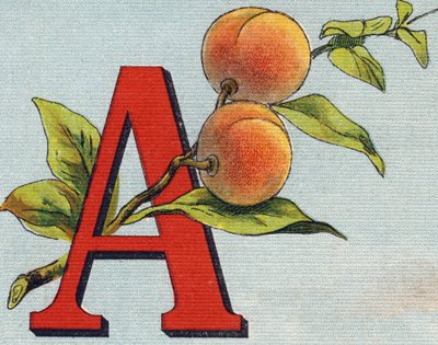 Buchstabe A: Aprikose. Gravur in "Alphabet de ma petite fille". Bernardin-Bechet und Fils, Buchhändler-Verleger, Paris, um 1895. von Unbekannt