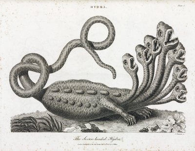 Die siebenköpfige Hydra von Unbekannt
