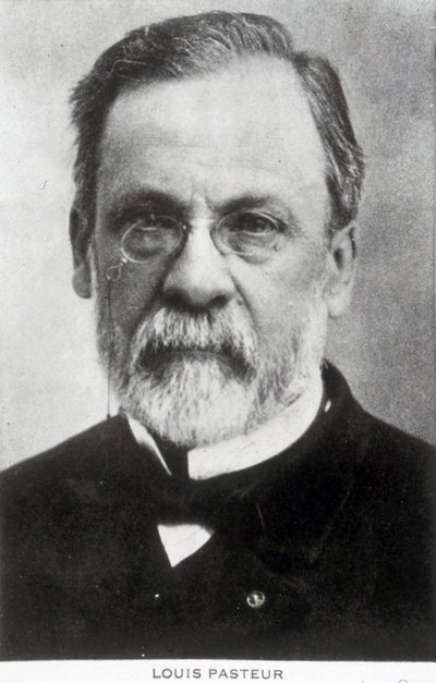 Louis Pasteur, französischer Chemiker und Mikrobiologe, ca. 1885 von Unbekannter Künstler