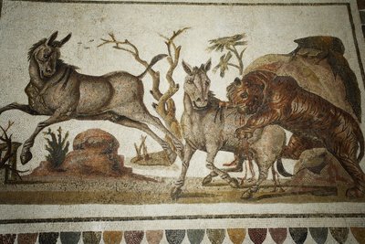 Mosaik von Tierkämpfen: Tiger greift zwei Nachtprimaten an. II Jh. n. Chr. / Museum von El Jem (Antikes Thysdrus) / Tunesien von Unbekannt