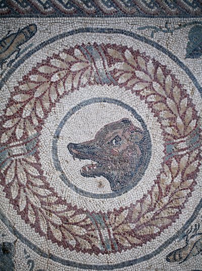 Mosaik des Peristyls. Detail, das einen Bärenkopf darstellt. 3. - 4. Jahrhundert. Römische Villa del Casale, Sizilien. UNESCO-Weltkulturerbe. von William M. Timlin