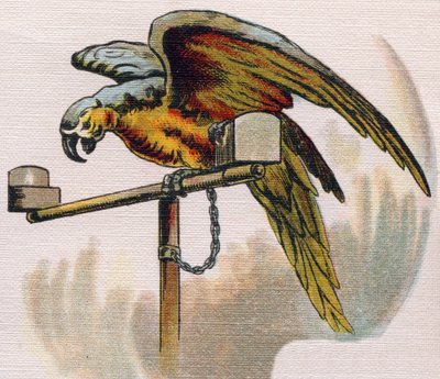 Papagei auf einer Stange. Gravur in "ABC L