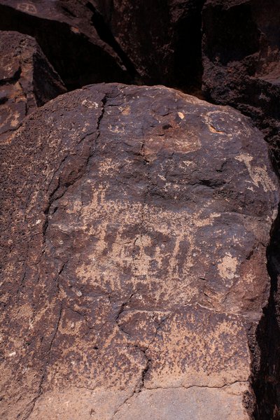 Petroglyphen, die Tiere und Figuren darstellen - Petroglyph National Monument - Albuquerque, New Mexico, USA von William M. Timlin