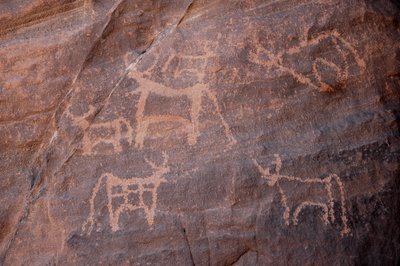 Felskunst, Vorgeschichte: Gravur eines Viehbestands, von dem eines unten links ist, im Uweinat-Massiv, Ägypten. (Zeitraum von 8000 bis 3000 Jahre v. Chr.). Fotografie von Unbekannt