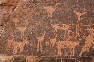 Felskunst, Vorgeschichte: Detail einer Gravur eines Sets von Straußen und Rindern im Uweinat-Massiv, Ägypten. Zeitraum von 8000 bis 3000 v. Chr. von Unbekannt
